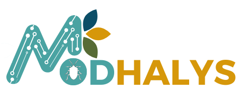 modhalys