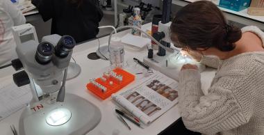 Observation en laboratoire