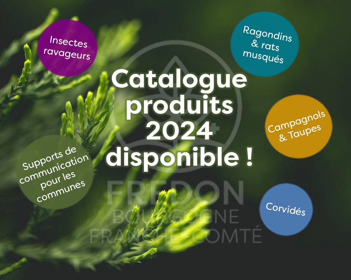 "Annonce sortie du catalogue produits 2024"