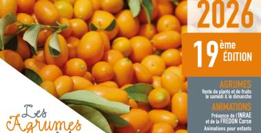 Affiche foire aux agrumes