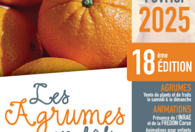 Affiche 2025 de la foire aux agrumes