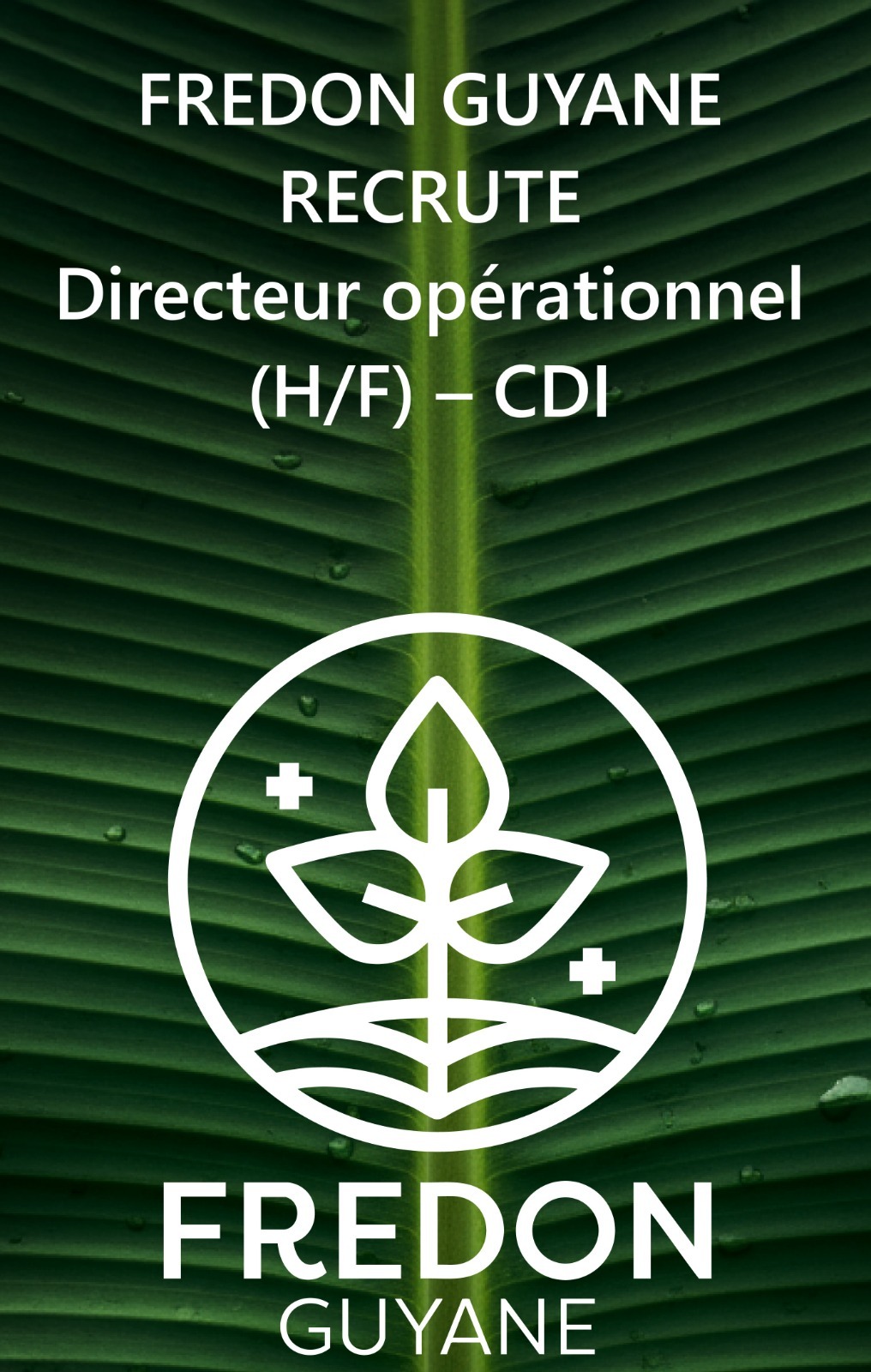 Pour accompagner son développement, La FREDON GUYANE recrute un.e directeur.trice à temps plein