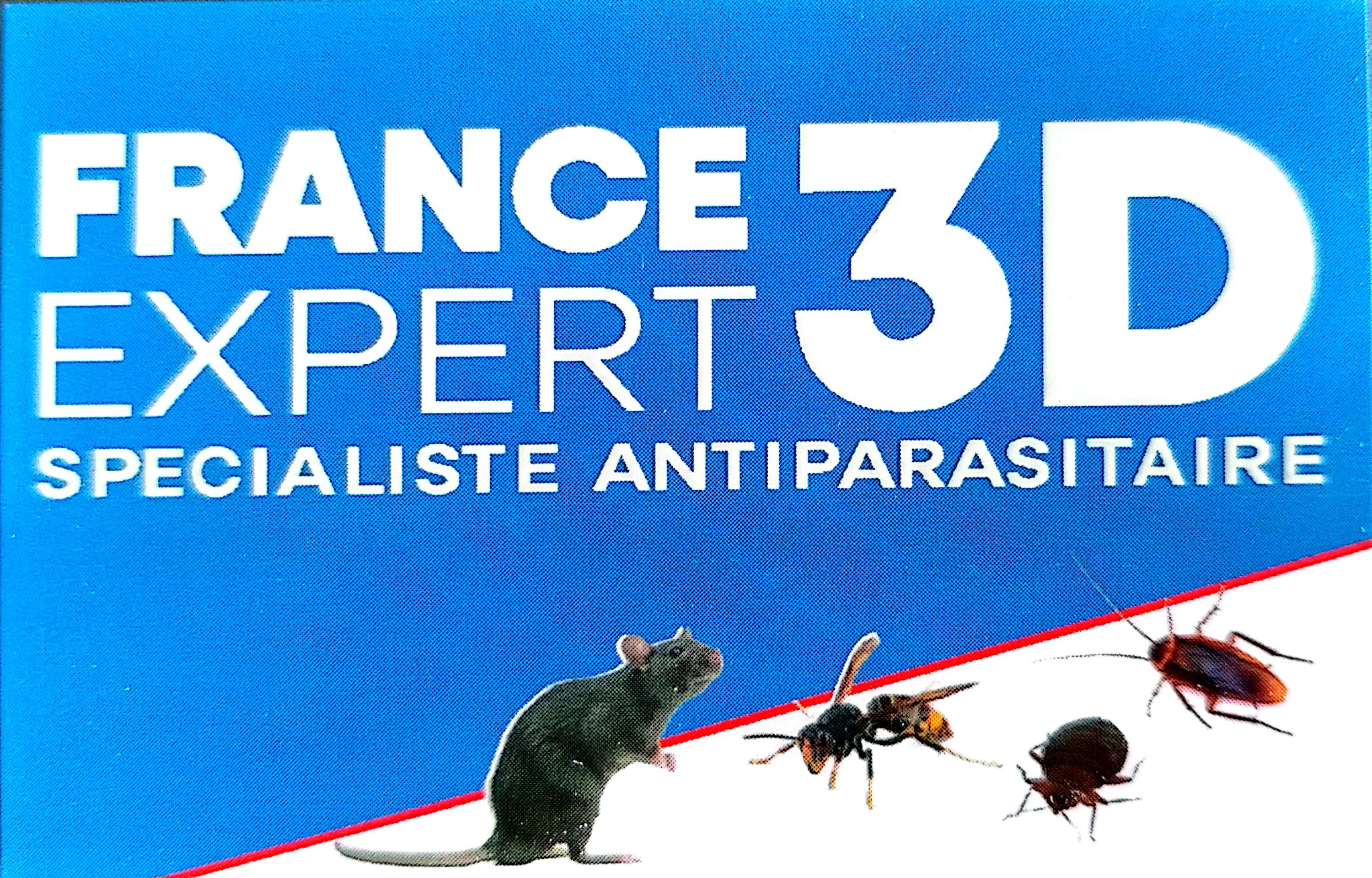 Logo FRANCE EXPERT 3D