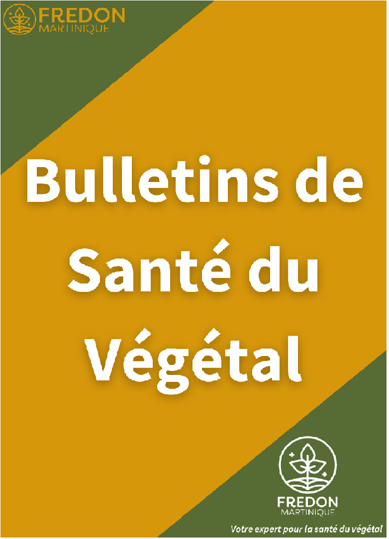 https://fredon.fr/martinique/publications/bsv-bulletins-de-sante-du-vegetal