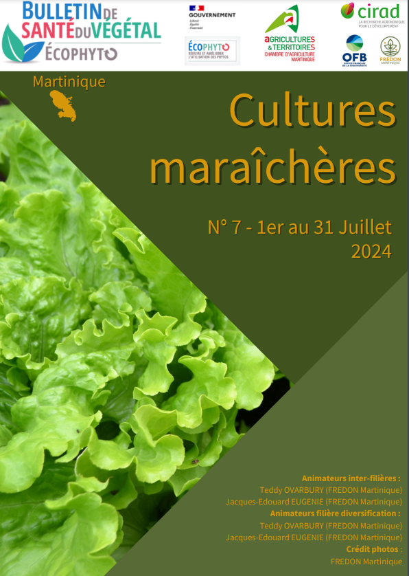 https://fredon.fr/martinique/bsv-cultures-maraicheres-juillet-2024