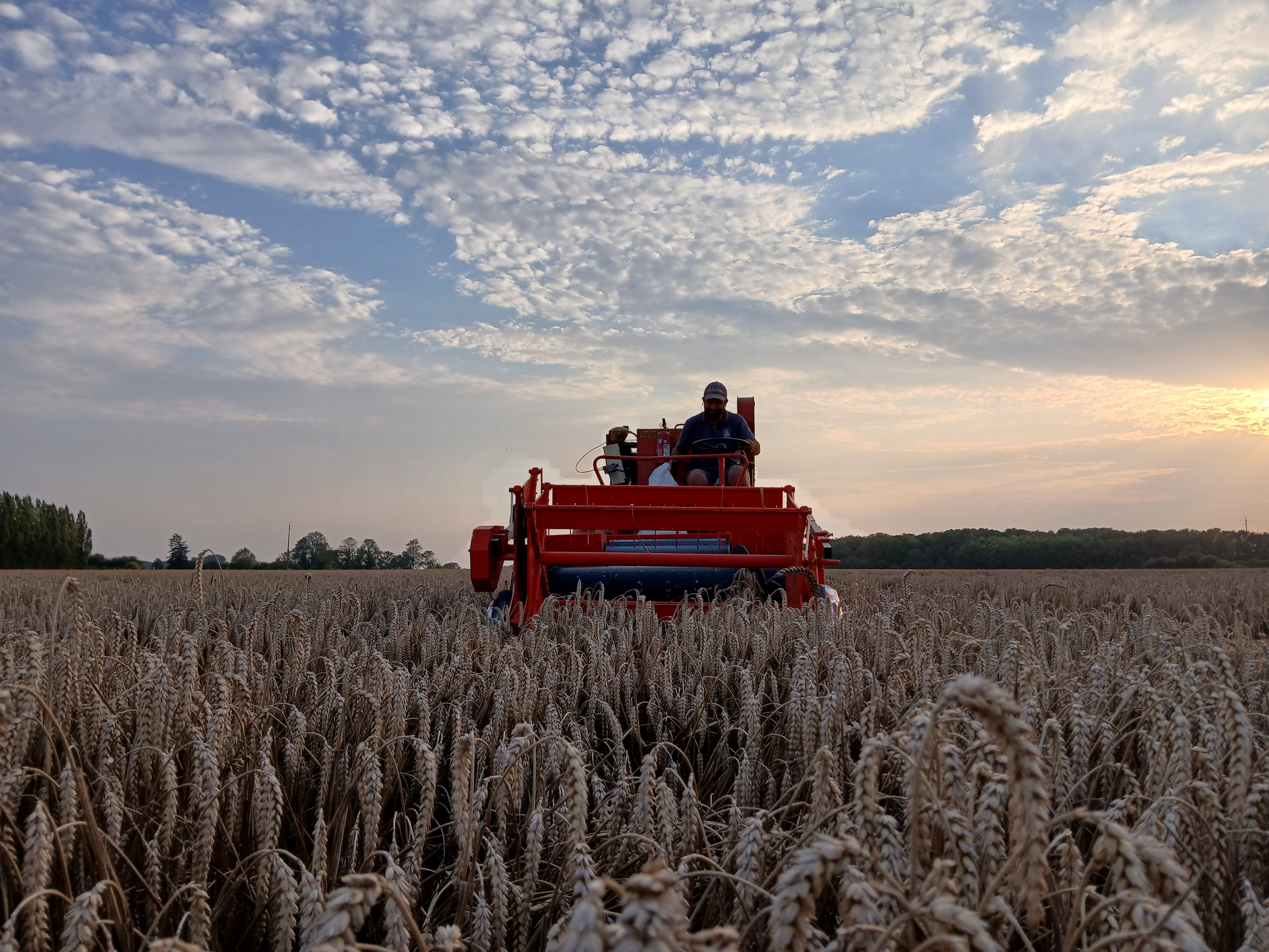 moisson FREDON Normandie