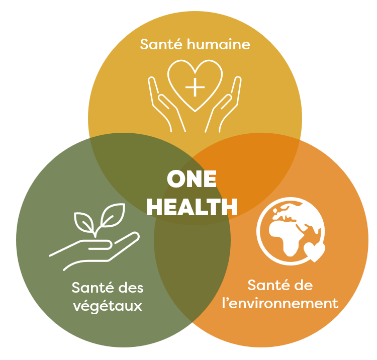 one health