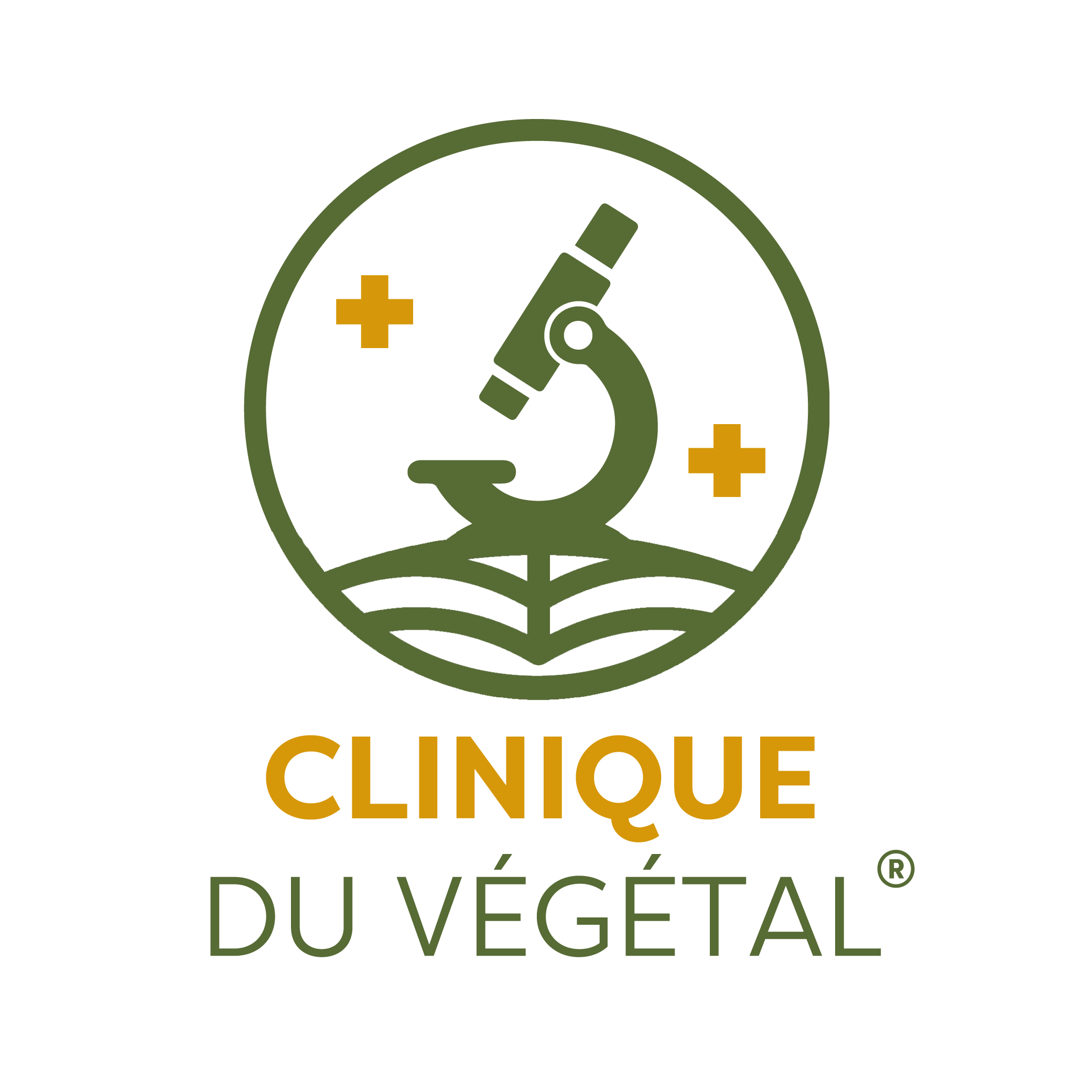 clinique