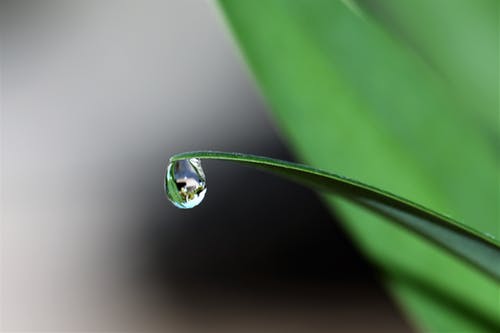 Optimisation de la gestion de l'eau