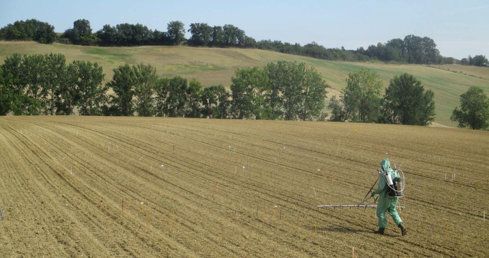 expérimentation fredon nouvelle aquitaine