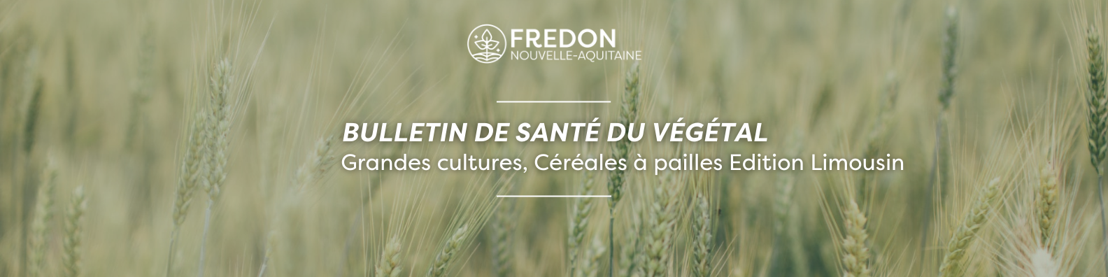 BSV Grandes Cultures - Céréales à paille Edition Limousin