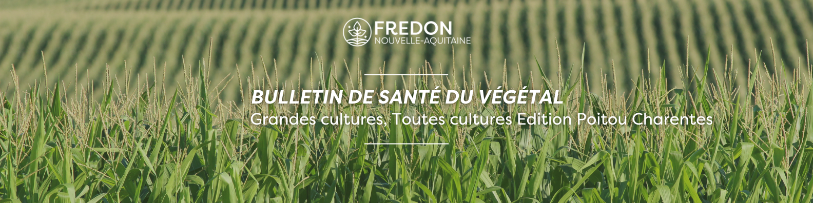 Bannière BSV Grandes Cultures, Edition Poitou Charentes