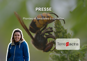 Plantes et bestioles à surveiller