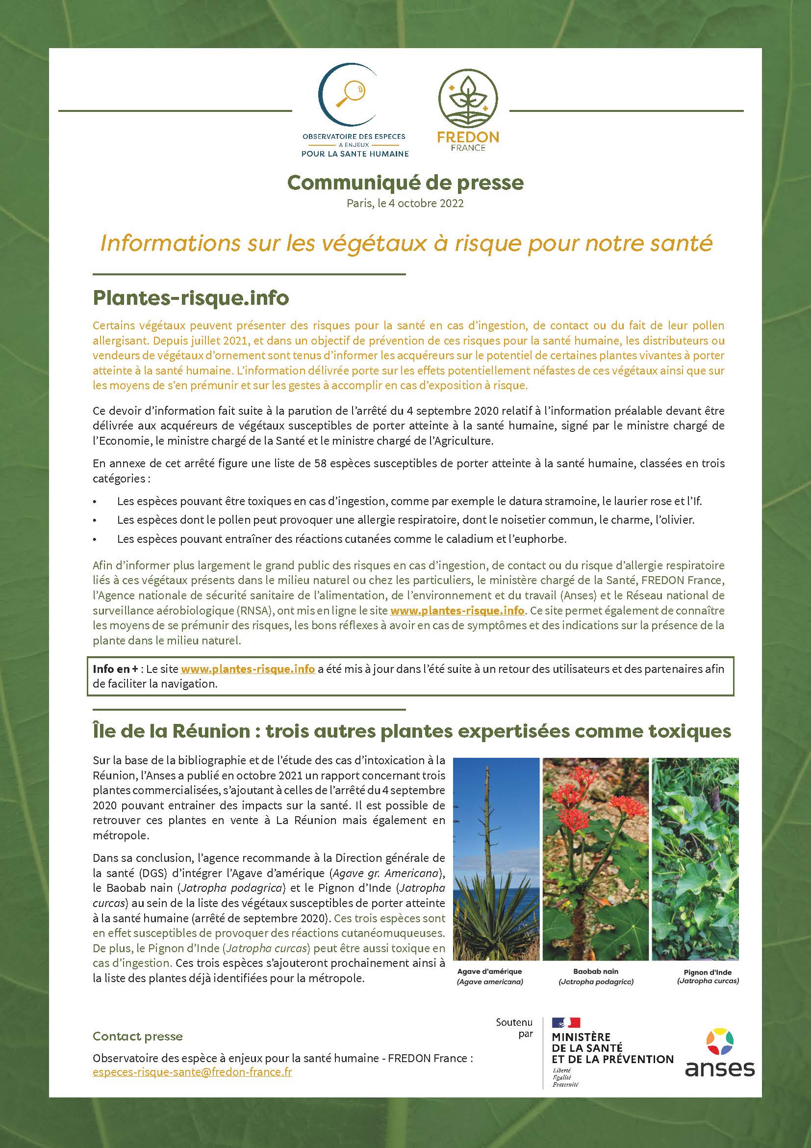 communiqué fredon chenille