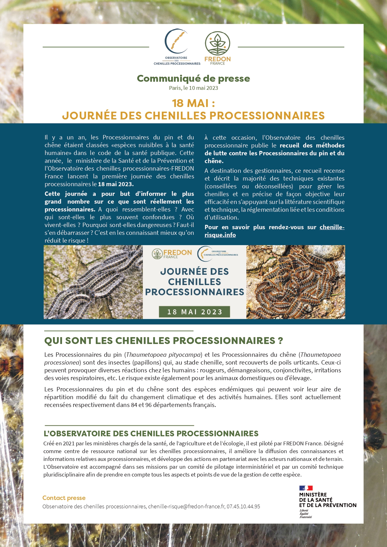 communiqué fredon chenille