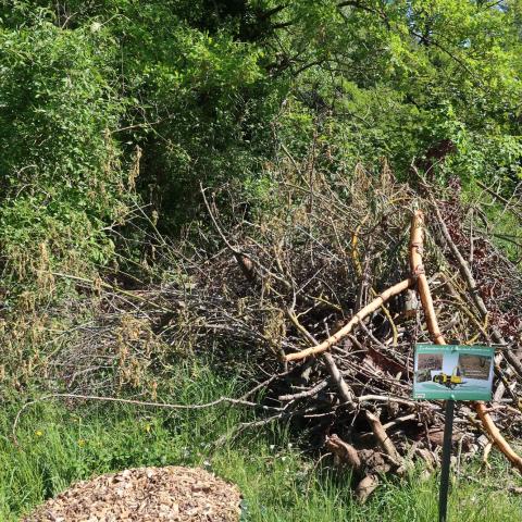 Panneau et mise en situation de broyage de branches, Camping-Lempdes-Allagnon (43)