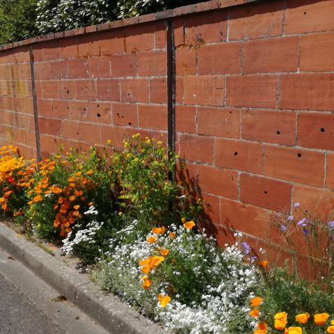 Fleurissement en pied mur, Commune de Chaumont sur Tharonne (41)
