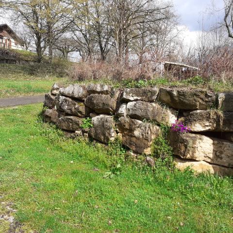 Murs en pierres, refuges pour la biodiversité, Camping La Ferme (74)