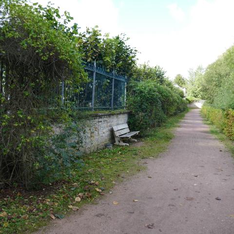 Végétation spontanée en bordures d'allée, Commune de Sées (61)