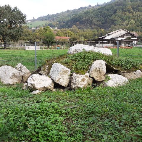 Création d'hibernaculum, Commune de La Buisse (38)