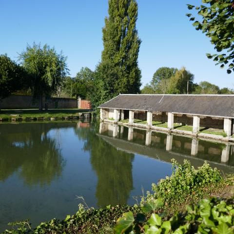 Réserve de biodiversité autour du lavoir, Commune de Sées (61)