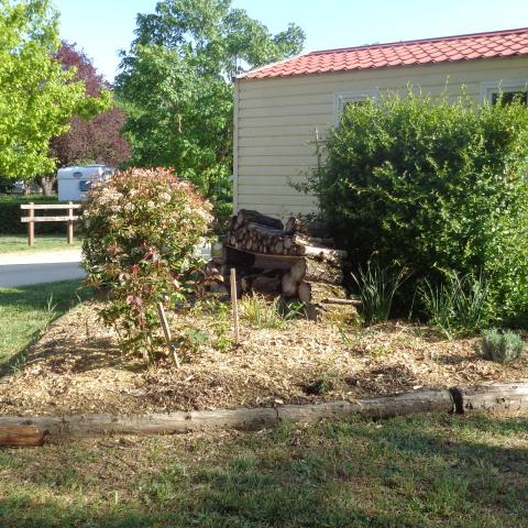 Mise en place de paillage et de plantes vivaces, Camping-Lempdes-Allagnon (43)