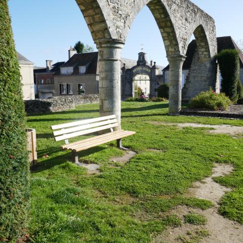 Végétation spontanée proche du centre ville, Commune de Sées (61)