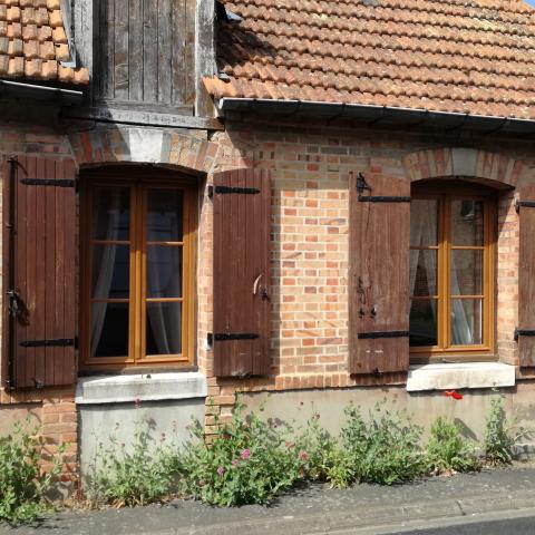 Végétation spontanée, Commune de Chaumont sur Tharonne (41)