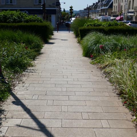 Installation de plantes vivaces, Commune de Villers-Bocage (14)