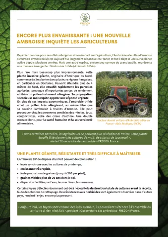communication fredon ambroisie