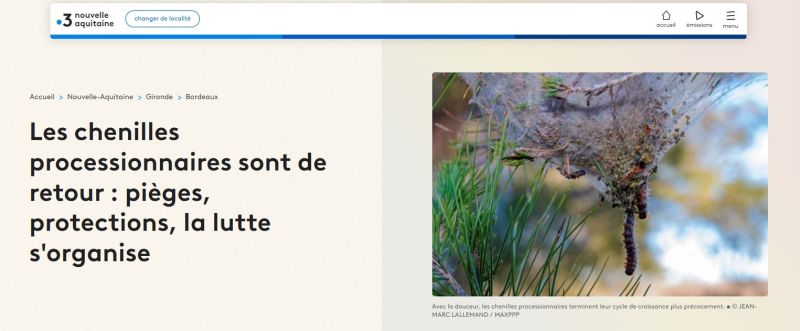""france 3 chenilles poilue urticante processionnaire pin nouvelle aquitaine""